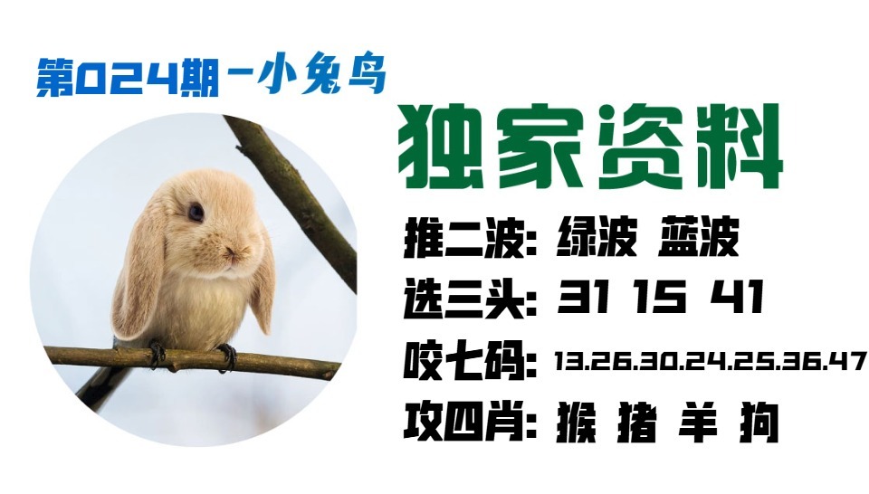 024期小兔鸟[图]